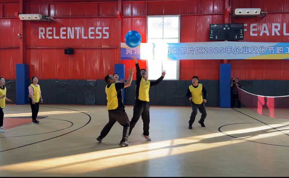 职工趣味运动会——精彩瞬间之排球对抗 