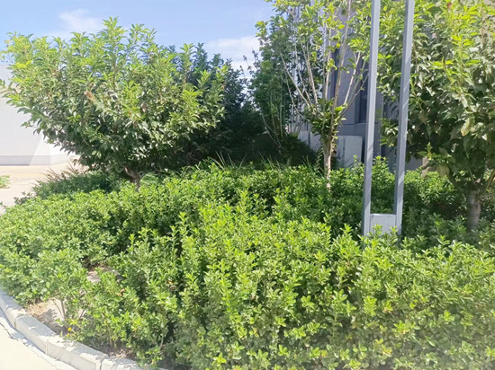 E:\用户\I\Desktop\11_副本.jpg